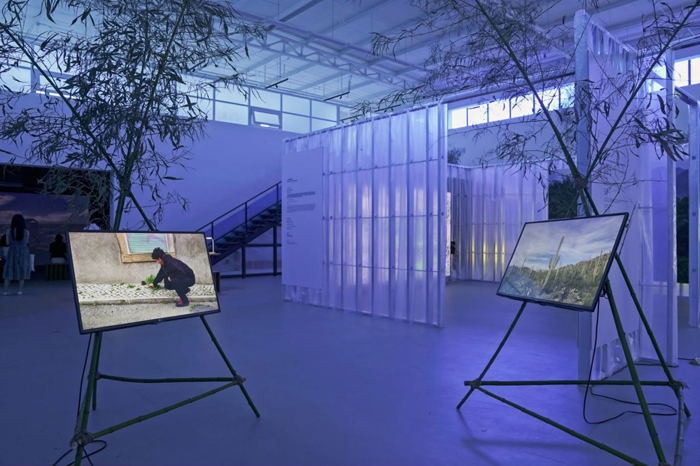 超越人类中心主义,重建与万物连接——中法艺术家共构《蛇纹绿岩》