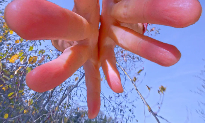 《信手不渝》:一双巨手将亮相M+幕墙 见证全球游客重聚香港