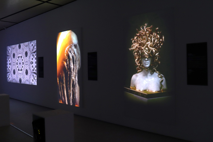 “加密艺术:一种新的可能性”在央美美术馆开展