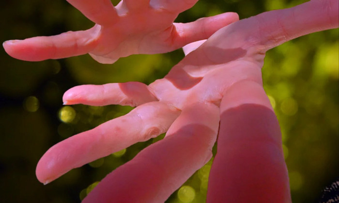 《信手不渝》:一双巨手将亮相M+幕墙 见证全球游客重聚香港