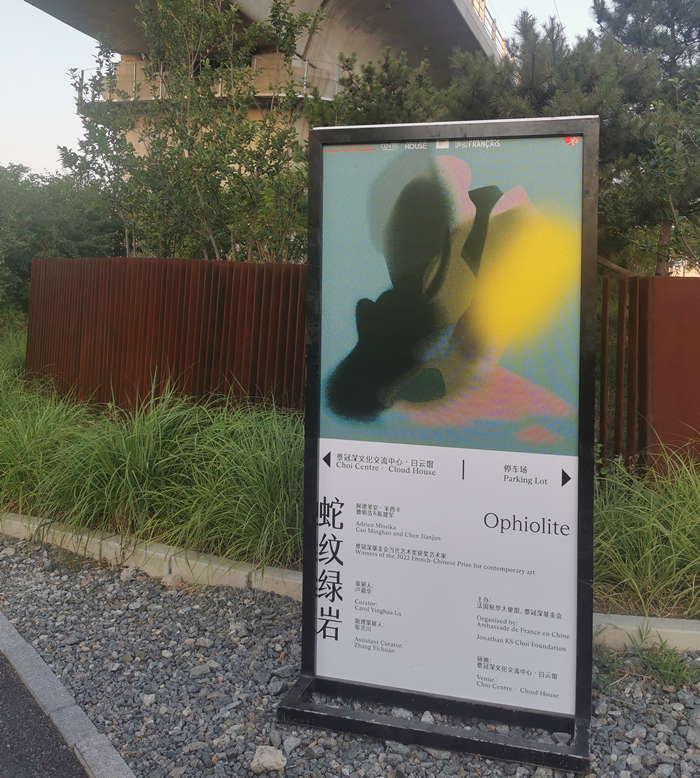 超越人类中心主义,重建与万物连接——中法艺术家共构《蛇纹绿岩》