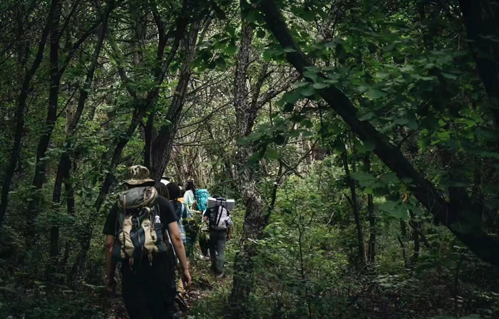 【阿那亚大地艺术节出行指南】：当艺术与自然成为一种生活方式