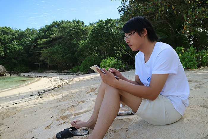 洪保峰:诗画交融,用风景表现东方哲学