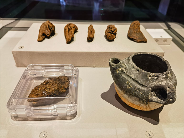 一片中国茶,半部文明史——故宫“茶·世界”特展:一场以茶为媒介的策展叙事