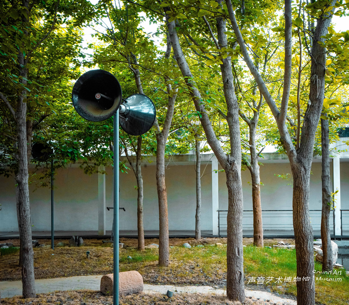 追寻消失的记忆，他为“声音”构建家园——秦思源专访