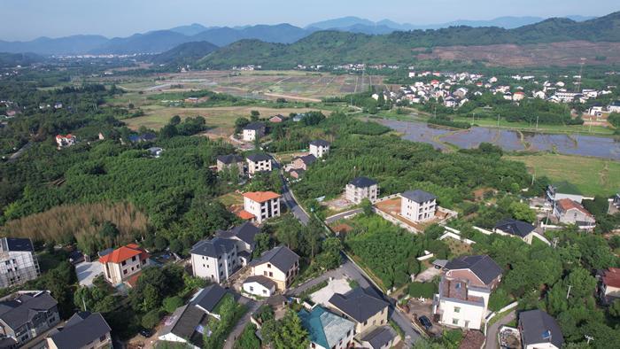 将传统工艺复兴带向乡村未来——张雷专访