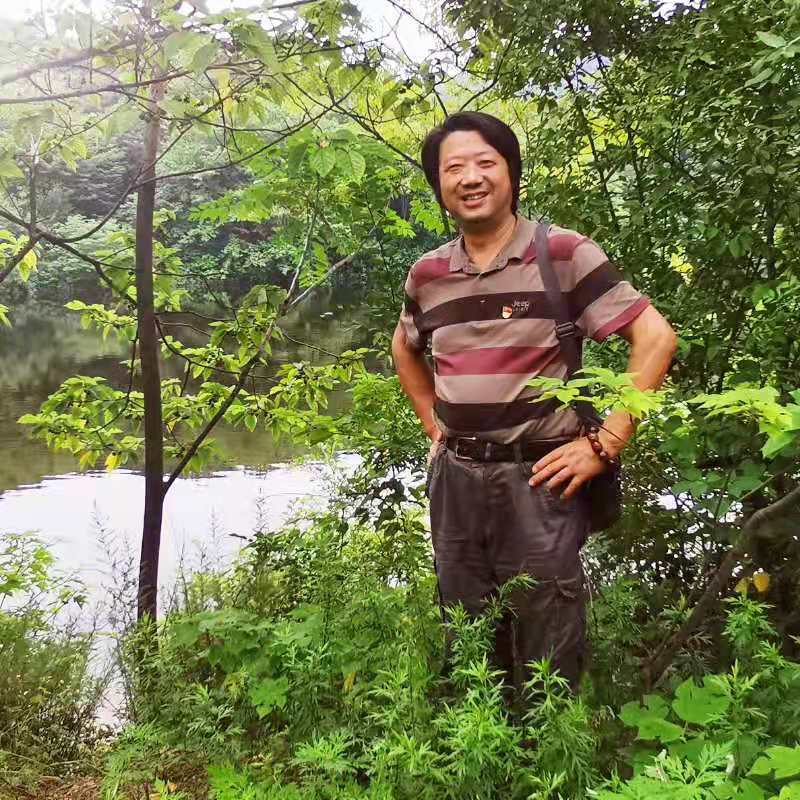 植根传统   守正创新  一一合肥市书协原副主席袁永群老师和他的书法