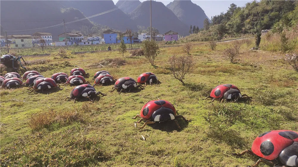 葛秀支:艺术乡建何为