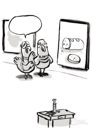 谁是世界上最厉害的画家?鸽子知道