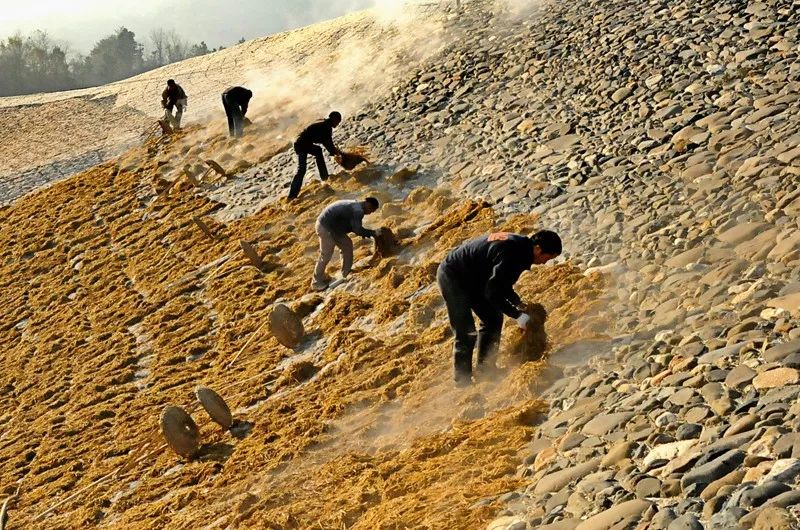 斯雄《宣纸记》