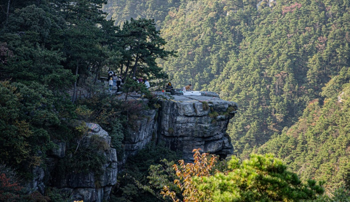 图集｜悠然庐山 诗画九江：36位中外艺术家庐山行回顾