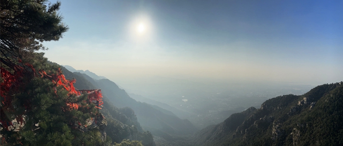 寻梦诗画九江,36位中外艺术家共赴一场与悠然庐山的约会