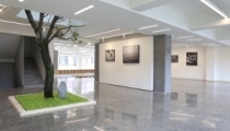 物即是物——唐纯洁个人摄影作品展在拉萨德闅艺术空间开幕