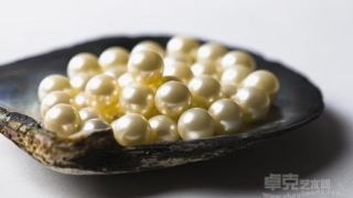 珠宝基础：玉石的种类与相关知识