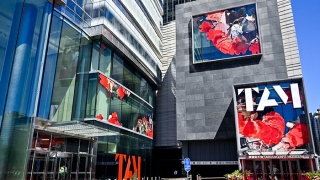 从泰康空间到泰康美术馆，开馆展百件作品呈现20世纪中国艺术“入世”之作