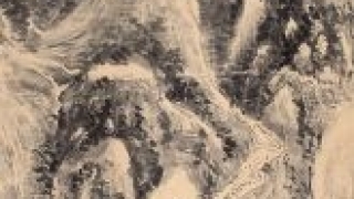 无底价专场频现 拍卖行意在培育市场