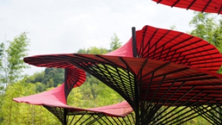 将传统工艺复兴带向乡村未来——张雷专访