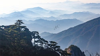 以良好文艺风气引领社会风尚