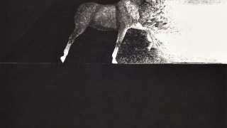 《没有烟，没有花》- 周志奋