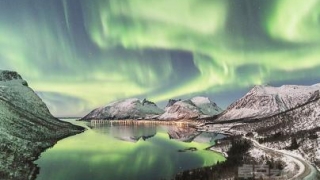 摄影师捕捉曼妙绿蛇最美北极光令人惊叹