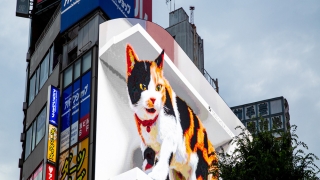 “沉闷乏味、缺少火花”的奥运会建筑，怎么重获生命力